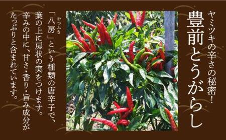 手づくり 牛すじ カレー 210g×2個 《豊前市》【瑞穂農園】 レトルトカレー カレーライス 牛肉 [VBG009]