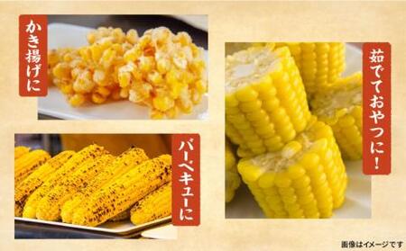 【2026年6月以降出荷分予約】下山農園 としちゃんの農家直送スイートコーン約4kg（11～13本入り）【豊前市】とうもろこし 野菜 BBQ [VBH001]