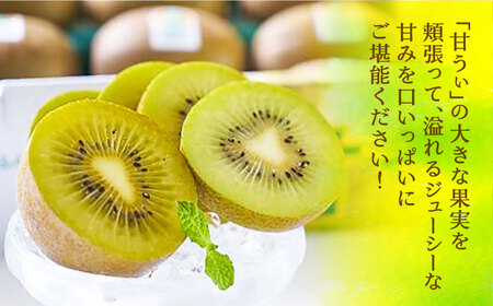 【先行予約】【福岡限定ブランド キウイ】「 甘うぃ ( あまうぃ )」約1.5kg箱(12-15玉)【2025年10月以降順次発送】《豊前市》【南国フルーツ株式会社】キウイ 果物 フルーツ ＜離島配送不可＞[VBY004]