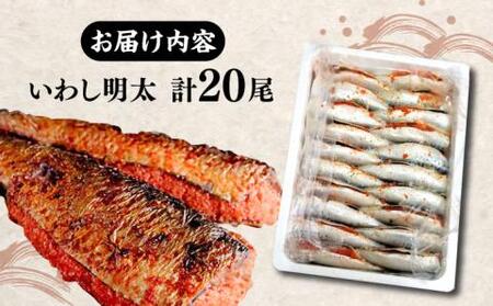 ピリ辛 いわし明太20尾《豊前市》【株式会社マル五】 [VCL015]