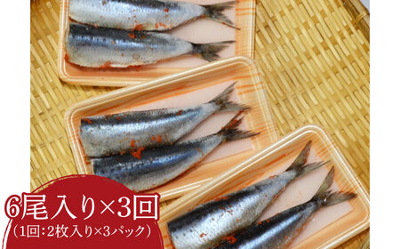 【全3回定期便】ピリ辛 いわし明太6尾《豊前市》【株式会社マル五】 [VCL075]