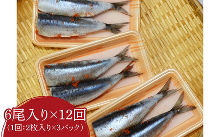 【全12回定期便】ピリ辛 いわし明太6尾《豊前市》【株式会社マル五】 [VCL077]