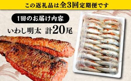 【全3回定期便】ピリ辛 いわし明太20尾《豊前市》【株式会社マル五】 [VCL078]