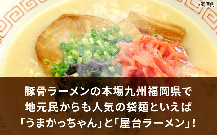 九州の味　豚骨ラーメン2種×5食セット（合計10食）（うまかっちゃん5食・屋台ラーメン5食）≪豊前市≫【株式会社マル五】 [VCL150]