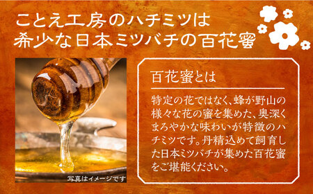 日本ミツバチの蜂蜜(ギフトセット150g×2本)《豊前市》【日本ミツバチことえ工房】蜂蜜 はちみつ ハチミツ [VCM001]