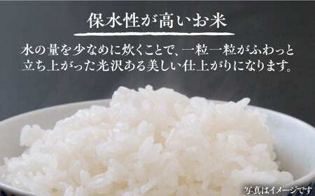 【全3回定期便】天狗米 夢つくし 10kg《豊前市》【障害者支援施設 第一周防学園】米 お米 ゆめつくし 白米 [VCX010]