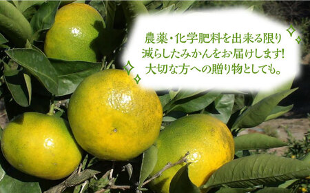 ミカン 早生 10kg《豊前市》【山田農場 フルーツランド】ミカン みかん 早生みかん [VCY009]