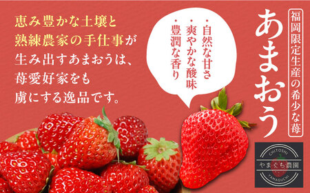 【全3回定期便】あまおう DXG 1080g (270ｇ以上 × 4 パック) 土耕栽培《豊前市》【山口農園】果物 いちご [VDE013]