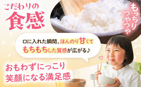 【先行予約】夢つくし 10kg 【令和7年9月以降新米発送】《豊前市》 【山口農園】米 精米 白米 [VDE015]