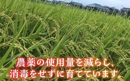 【先行予約】【新米】津田くん農園の夢つくし 10kg【2025年10月以降順次発送】《豊前市》【株式会社くしだ企画】米 白米 お米 ご飯 [VDG002]