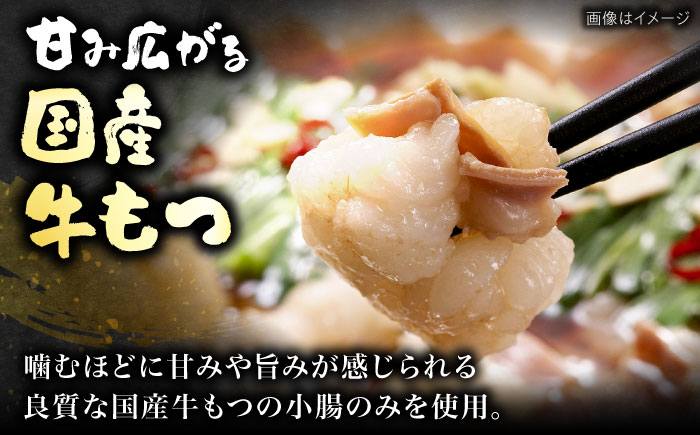 【ギフト用】 博多もつ鍋（醤油味）3人前 《豊前市》【株式会社 海千】 [VEC008]