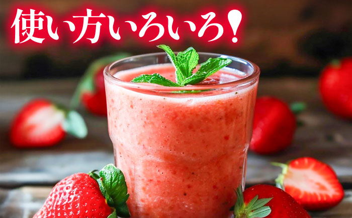 【訳あり】福岡県産 冷凍あまおう500g(250g×2個)　《豊前市》【株式会社木村食品】いちご 苺 イチゴ 取り寄せ [VEG011]