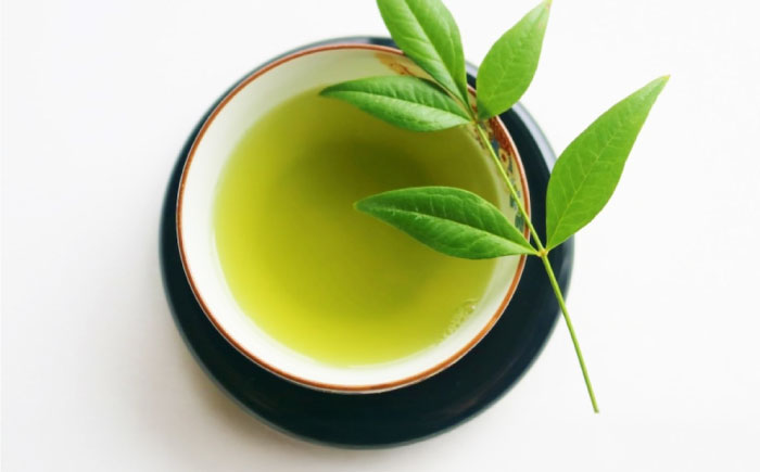 八女茶 煎茶セット 100g×2袋 《豊前市》【株式会社木村食品(千代海苔株式会社)】 [VEH016]