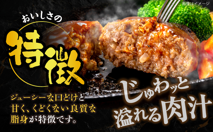 博多和牛 ハンバーグ140g×5個入り 《豊前市》【JA全農ミートフーズ株式会社】牛肉 肉 おすすめ 人気 [VET011]