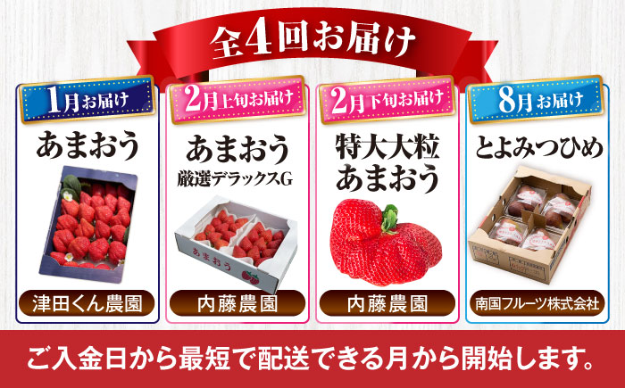 【全4回定期便】フルーツ定期便 5万5千円コース (あまおう3種＆いちじく) 《豊前市》【豊前市定期便】 [VZZ016]