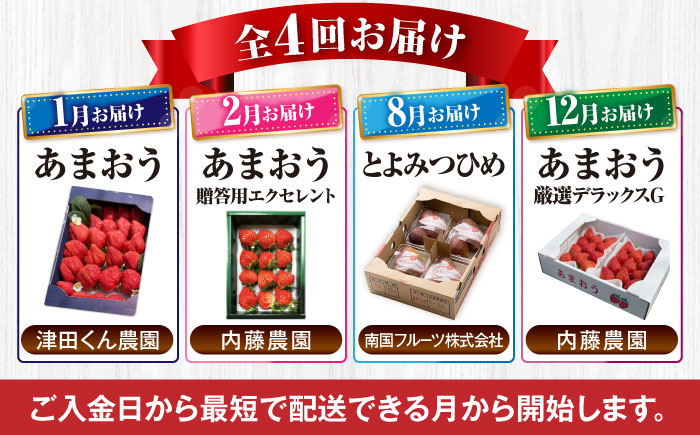 【全4回定期便】フルーツ定期便 6万5千円コース (あまおう3種＆いちじく) 《豊前市》【豊前市定期便】 [VZZ018]