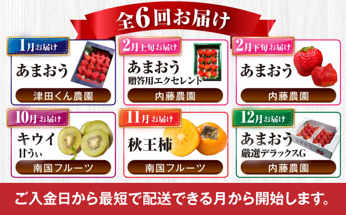 【全6回定期便】フルーツ定期便 9万5千円コース(あまおう4種＆キウイ＆柿) 《豊前市》【豊前市定期便】 [VZZ024]