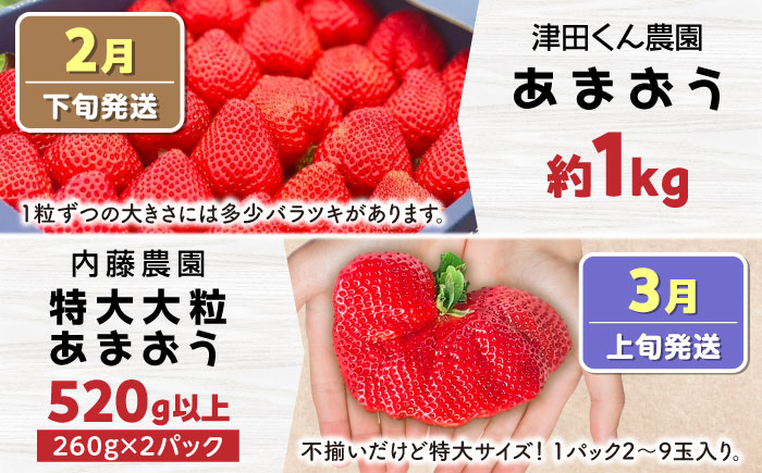 【全5回定期便】あまおう5種食べ比べ返礼品 7万円コース（ジェラート付き）《豊前市》【豊前市定期便】 [VZZ029]