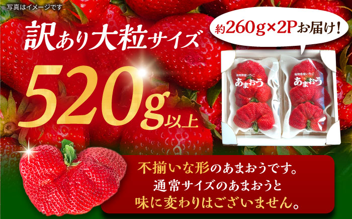 【先行予約】【1~4月発送】農家直送　大玉規格　特大大粒あまおう　《豊前》　【内藤農園】 [VAB023]