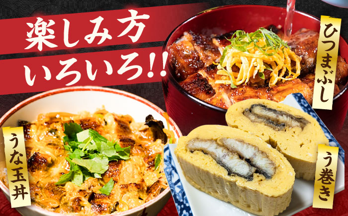 【全3回定期便】福岡県産 うなぎ 蒲焼 大5尾　合計 800 g（1尾あたり 160g以上）《豊前市》【福岡養鰻】 国産 うなぎ 大 [VAD017]