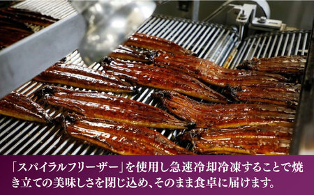 【全6回定期便】福岡県産 うなぎ 蒲焼 特大 3尾 合計 660 g（1尾あたり 220g以上）《豊前市》【福岡養鰻】 国産 うなぎ 特大 [VAD021]