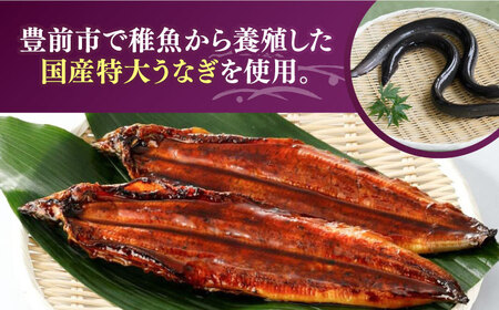 【全6回定期便】福岡県産 うなぎ 蒲焼 特大 10尾 計2,200g（1尾あたり 220g以上）《豊前市》【福岡養鰻】 国産 鰻 ウナギ 蒲焼き [VAD032]