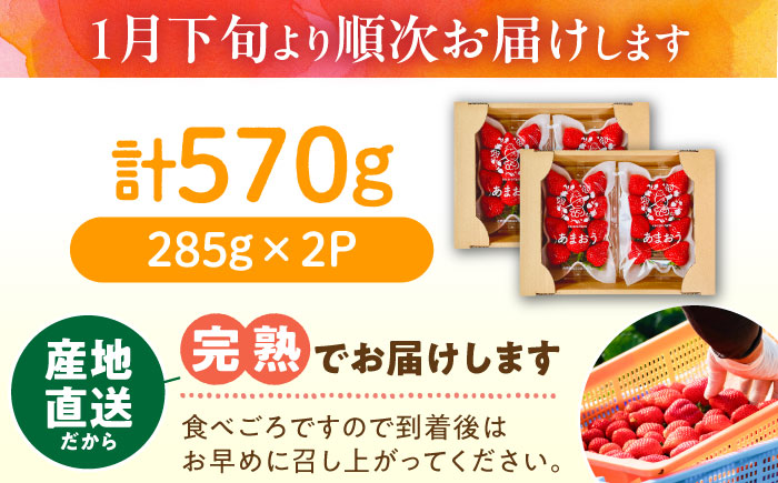 先行予約【2026年1月下旬～4月中旬発送】ココロファーム の 濃厚あまおう 285g × 2P 約570g 《豊前市》[VAE007] ※北海道・沖縄・離島 配送不可