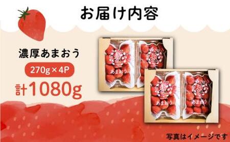 【2026年1月下旬より順次発送】ココロファーム の 濃厚あまおう 270g ×4P 1080g以上《豊前市》【ココロファーム】[VAE018] 苺 いちご あまおう 福岡県産 先行予約