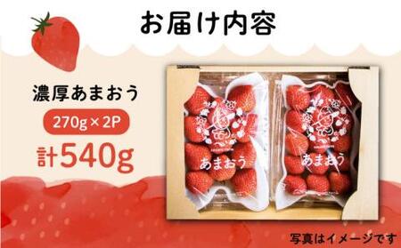 【2026年1月下旬より順次発送】ココロファーム の 濃厚あまおう 270g ×2P 540g以上《豊前市》【ココロファーム】[VAE019] 苺 いちご あまおう 福岡県産 先行予約