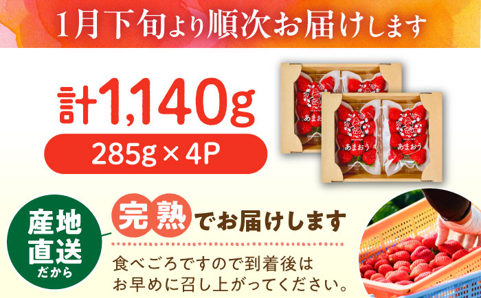 【2026年1月下旬～4月中旬発送】ココロファーム の 濃厚あまおう 285g × 4P 約1,140g [先行予約] 《豊前市》[VAE022] ※北海道・沖縄・離島 配送不可