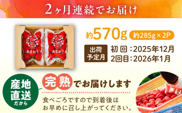【2回定期便】【2025年12月から配送】ココロファームの濃厚あまおう 285g×2P 約570g 《豊前市》【ココロファーム】 [VAE033]