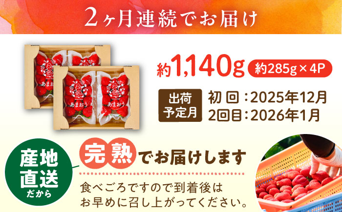 【2回定期便】【2025年12月から配送】ココロファームの濃厚あまおう 285g×4P 約1140g 《豊前市》【ココロファーム】 [VAE034]