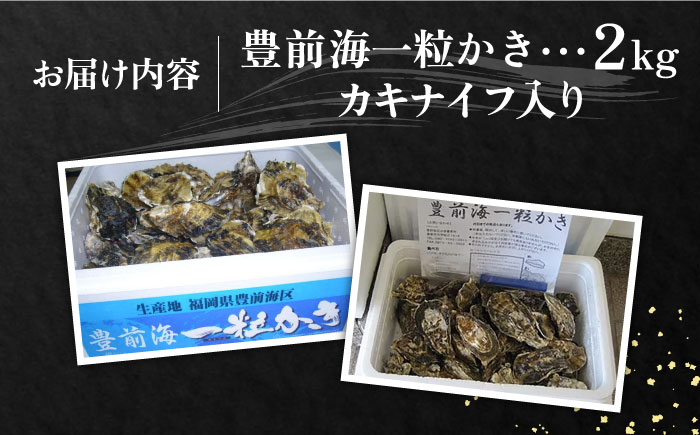 【先行予約】豊前海一粒かき 2kg 【2026年1月中旬以降順次発送】  《豊前市》【豊築漁業協同組合】 牡蠣 カキ かき 牡蛎 [VAG013]