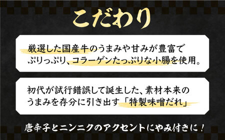 新元祖味噌もつ鍋 2～3人前 セット ( ちゃんぽん or うどん ) 【焼肉・もつ鍋 平壌屋】《豊前市》国産牛 もつ もつ鍋 ホルモン [VAH038] うどん