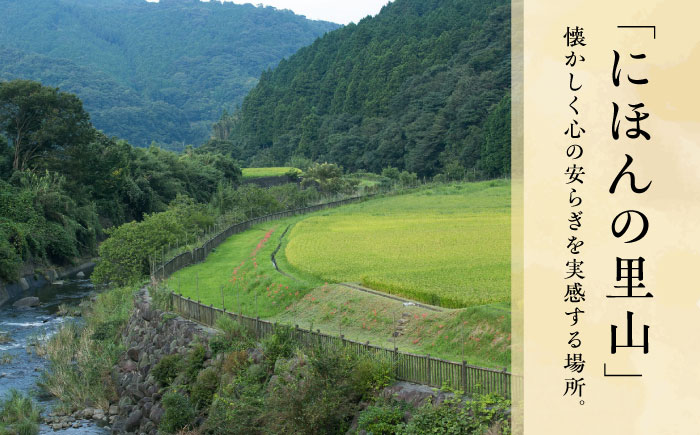 【くぼて鷹勝　卜仙の郷】宿泊補助クーポンチケット 5,000円分【株式会社鷹勝カレント】《豊前市》温泉 宿泊 旅行 宿 [VAK037]