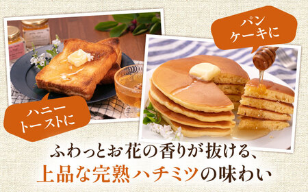 春の完熟はちみつ 里山 450g《豊前市》【須田養蜂場】蜂蜜 はちみつ 調味料 ギフト [VAR005]