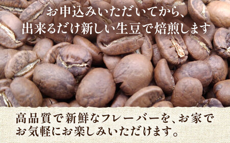 【全12回定期便】ブルーマウンテン NO.1 コーヒー ( 浅煎り ) 《豊前市》【稲垣珈琲】 珈琲 コーヒー 豆 粉 [VAS151]