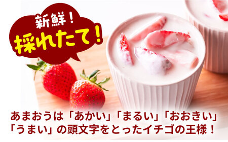 【訳あり】博多和牛 スライス 500g &冷凍 あまおう 800g セット《豊前市》【MEAT PLUS】肉 お肉 いちご あまおう しゃぶしゃぶ すき焼き A4 [VBB027]