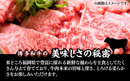 【訳あり】博多和牛 焼肉 切り落とし1kg（500g×2p）《豊前市》【MEAT PLUS】肉 お肉 牛肉 [VBB045]