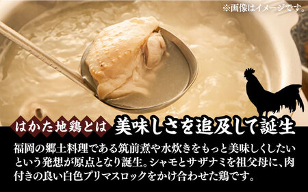 【全12回定期便】はかた地鶏モモムネセット 2kg（1kg×2p）《豊前市》【MEAT PLUS】鶏 鶏肉 もも 胸 [VBB060]