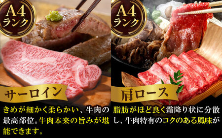 【半頭丸ごとオーダーカット！】博多和牛 半頭食べ尽くしセット《豊前市》【株式会社MEAT PLUS】 [VBB083]