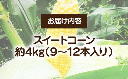 【先行予約受付　2026年6月頃より順次発送】【冷蔵配送】農家直送 朝どれ スイートコーン 約4kg（9～12本入り）《豊前市》【湯越農園】 野菜 コーン [VBC001] とうもろこし