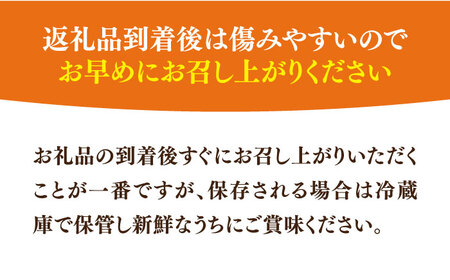 農家直送 旬のお野菜 おまかせ 約5種 セット 約2～3kg 《豊前市》【湯越農園】 野菜 詰め合わせ セット やさい [VBC011]