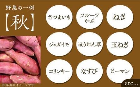 【全12回定期便】農家が選ぶ!旬の新鮮野菜セット約15種類と農家が作るドレッシング(200g×3本セット)《豊前市》【田村農産】産直 野菜 やさい 詰め合わせ ドレッシング [VBE013]