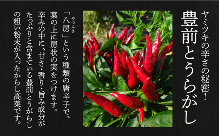 からし高菜120g×6個セット《豊前市》【株式会社瑞穂】 [VBG004]