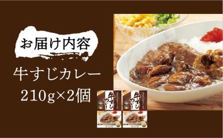 手づくり 牛すじ カレー 210g×2個 《豊前市》【瑞穂農園】 レトルトカレー カレーライス 牛肉 [VBG009]
