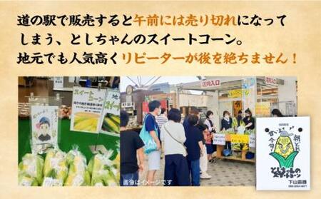【2026年6月以降出荷分予約】下山農園 としちゃんの農家直送スイートコーン約4kg（11～13本入り）【豊前市】とうもろこし 野菜 BBQ [VBH001]