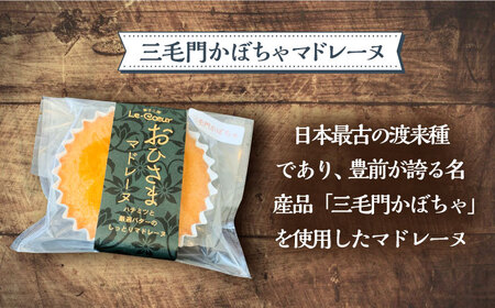 【全3回定期便】おひさまマドレーヌ 10個 詰め合わせ (おひさまマドレーヌ5個 三毛門かぼちゃマドレーヌ5個)《豊前市》【菓子工房ルクール】 お菓子 菓子 詰め合わせ 洋菓子 [VBI024]