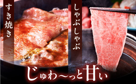 【全10回定期便】A4ランク以上 博多和牛 肩ロース薄切り 500g《豊前市》【久田精肉店】 [VBK137]