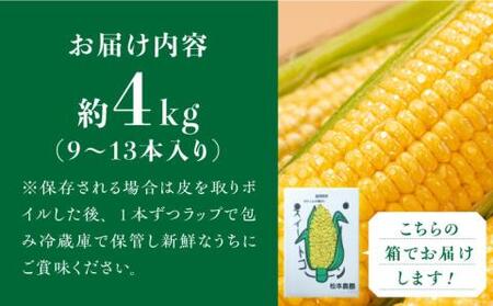 【先行予約】スイートコーン 約4kg （9～13本入り）【2026年6月より順次発送】 《豊前市》【松本農園】野菜 とうもろこし [VBT001]